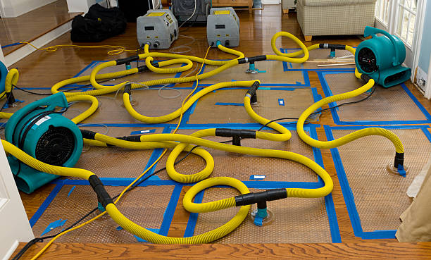 Professional Basement Flood Cleanup technician working in Ruthton, MN